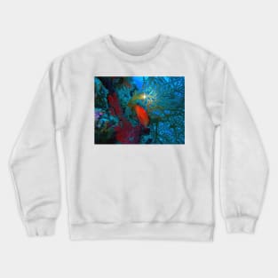 Red Snapper and Whip Coral Crewneck Sweatshirt